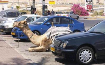barki d7madi